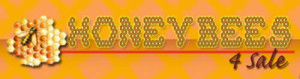logo-bees4sale-300×79