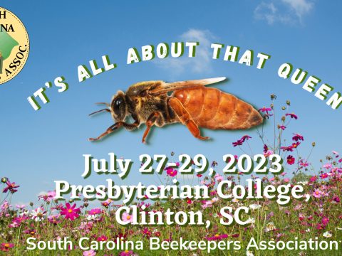 Summer Conference Logo