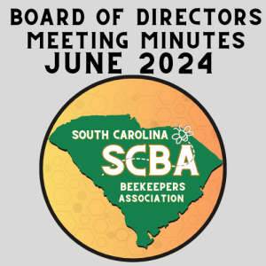 board of directors meeting minutes